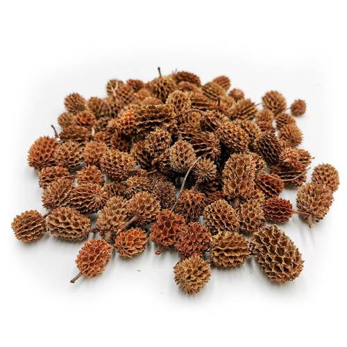 Casurina Natural 100g.jpg