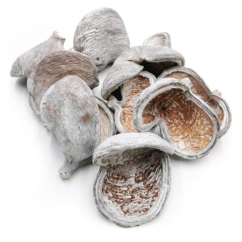 Badam White Washed 10szt.jpg