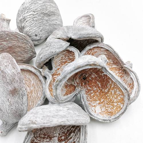 Badam White Washed 10szt zbliz.jpg