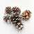 Szyszka Pine Cone Snow Tip 5szt zblizenie.jpg
