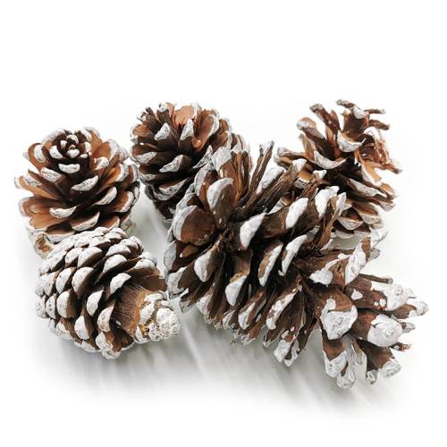 Szyszka Pine Cone Snow Tip 5szt.jpg