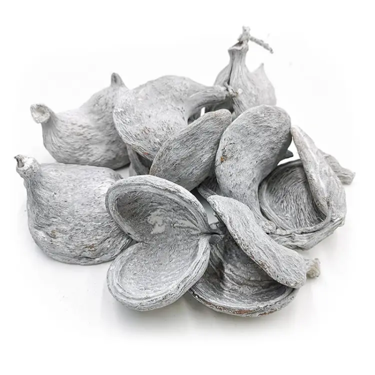 Badam Grey White Washed Paczka 10szt okladka.jpg