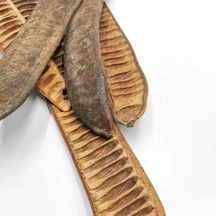 Machete Step Fruit 5szt zbliz.jpg