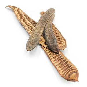 Step Fruit Machete (Natural) - Exotic Dried - Pack of 5
