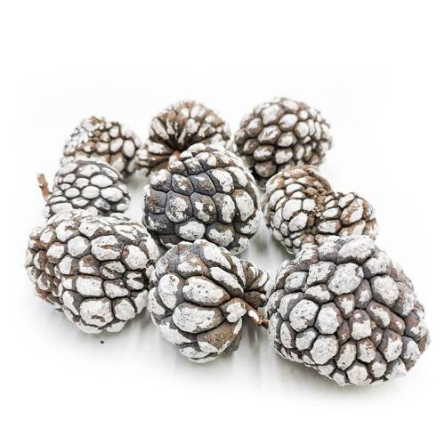 Ata Fruit Snow Tip 250g.jpg