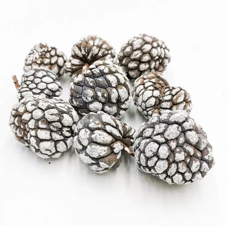 Ata Fruit Snow Tip 250g zblizenie.jpg