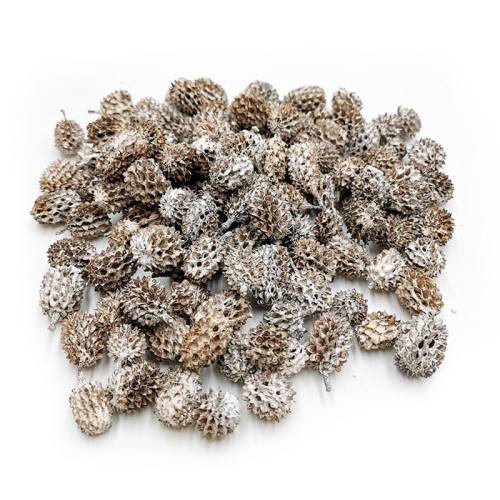 Casurina White Washed 100g.jpg