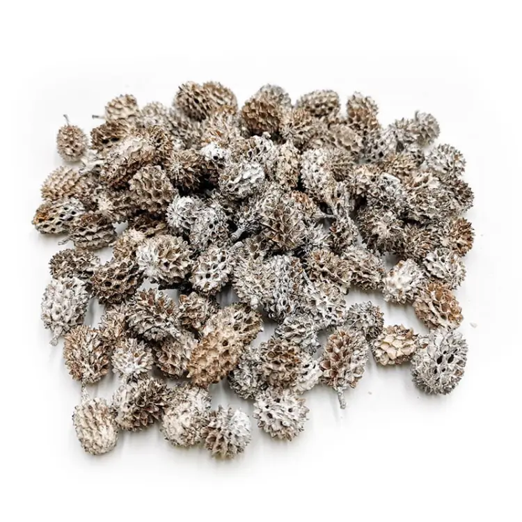 Casurina White Washed 100g.jpg