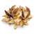 Lilly Wild 10szt paczka.jpg