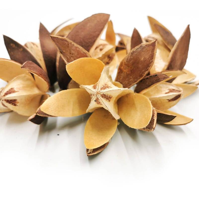 Lilly Wild 10szt zblizenie.jpg