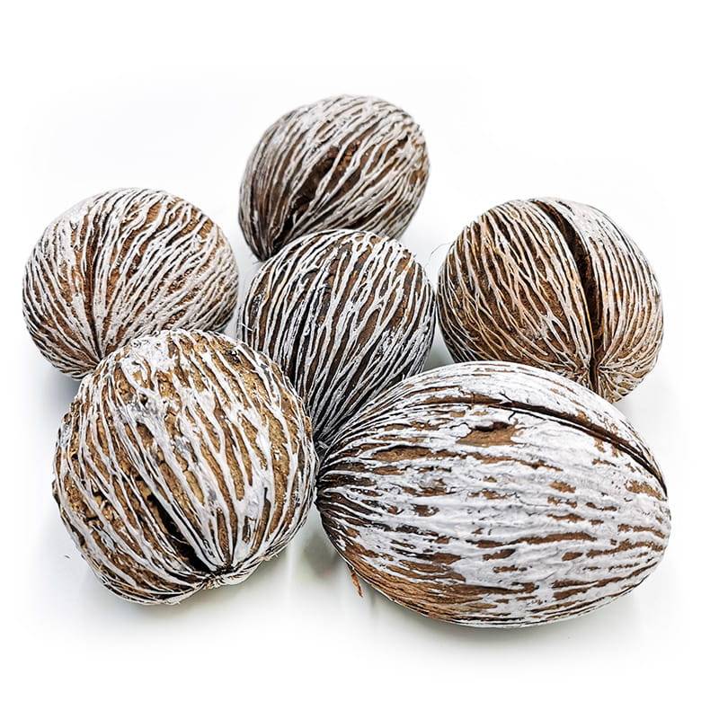 Mintola Ball - (Snow-Tipped) - Exotic Dried - Pack of 6