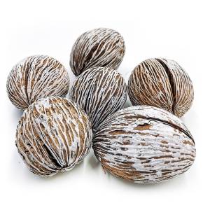 Mintola Ball - (Snow-Tipped) - Exotic Dried - Pack of 6
