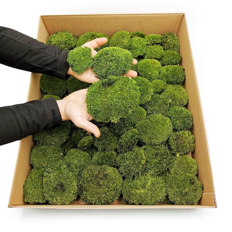 PCZ Karton dłonie.jpg