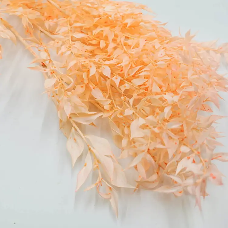 Ruskus peach zblizenie.jpg