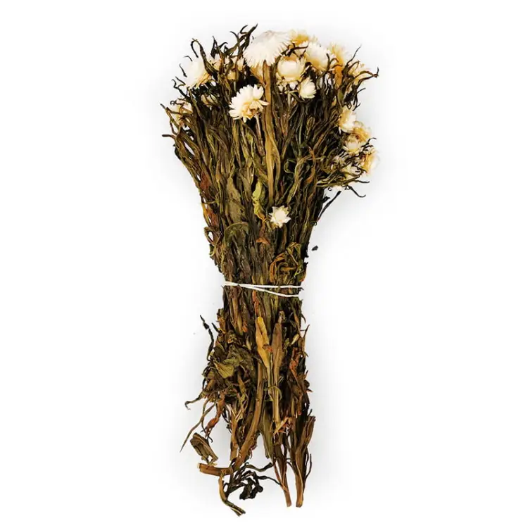 Kocanka Biała (Helichrysum) bukiet.jpg