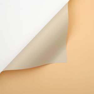 Floral Foil - Pale Orange + Milk Tea - Sheets 58x58 cm - 20pcs