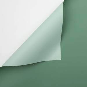 Floral Foil - Pastel Green + Sage Green - Sheets 58x58 cm - 20pcs