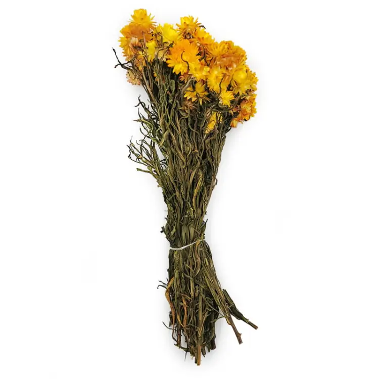 Kocanka Żółta PREMIUM cala.jpg