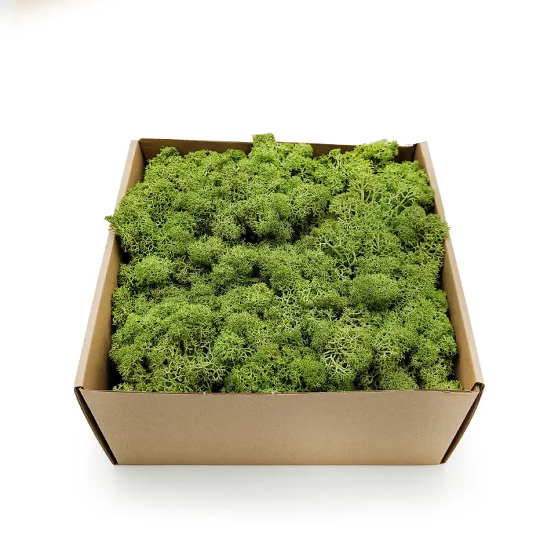 Nor Sz 1.png