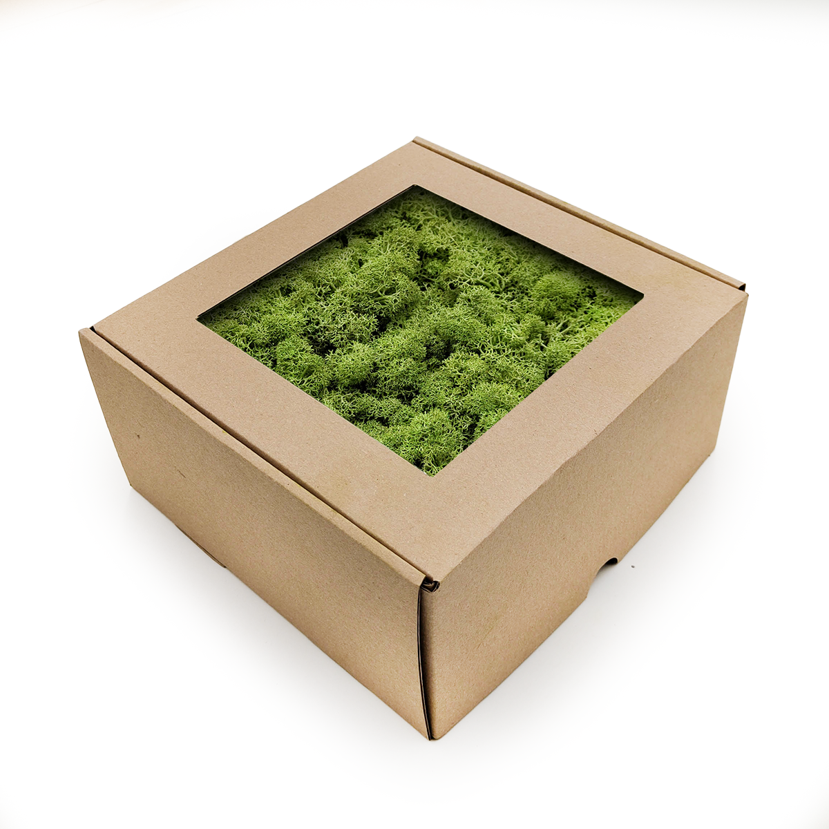 Reindeer Moss - Norwegian-  Medium Green 500g NET