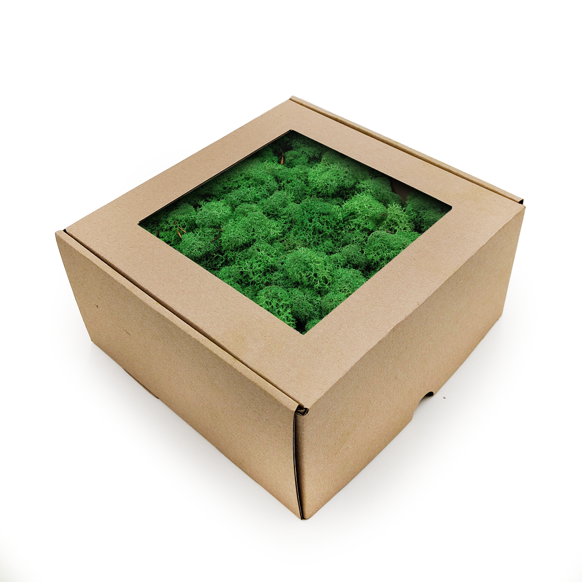 Reindeer Moss - Norwegian-  Grass in Shade 250g NET