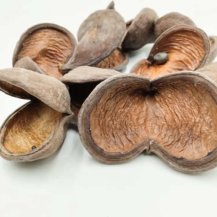 badam naturalny zblizenie.png