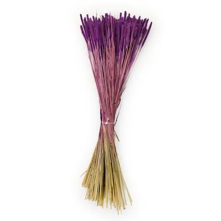 Tymotka trawa suszona fioletowa cala.png