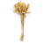 Setaria suszona bielona cala.png