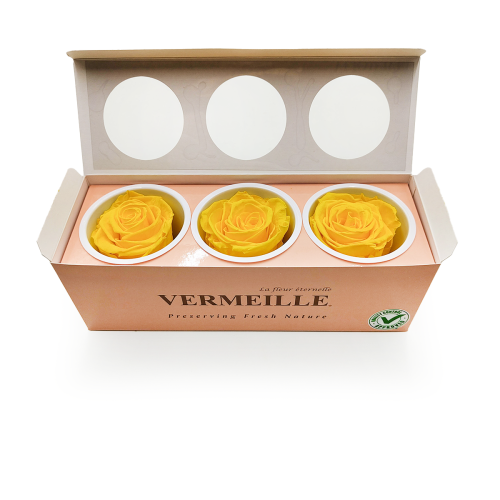 Róża Stabilizowana Canary Yellow pud otw.png