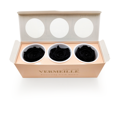 Róża Stabilizowana Carbon Black pud otw.png