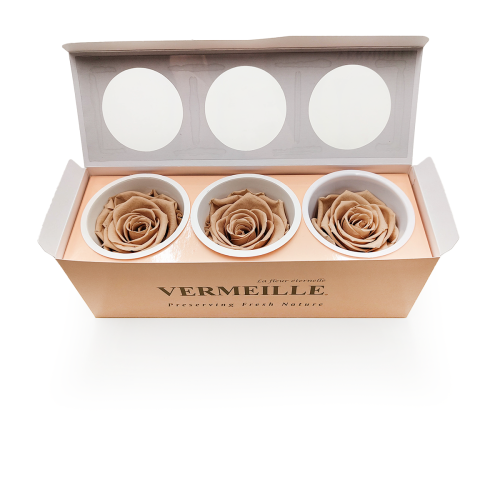 Róża Stabilizowana Nude pud otw.png