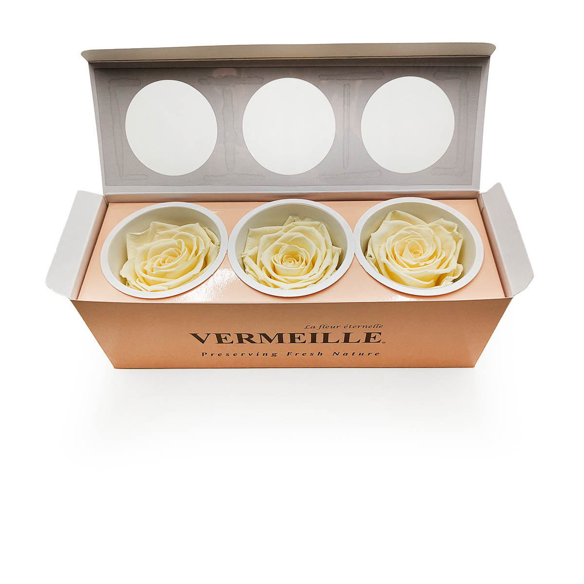 Preserved Rose - Pastel Yellow - XL - 3 pcs