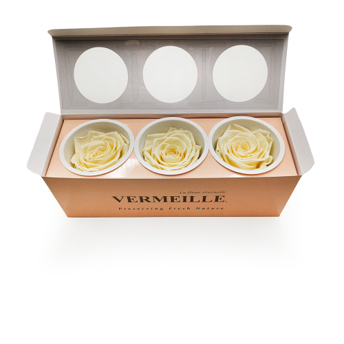 Róża Stabilizowana Pastel Yellow pud otw.png