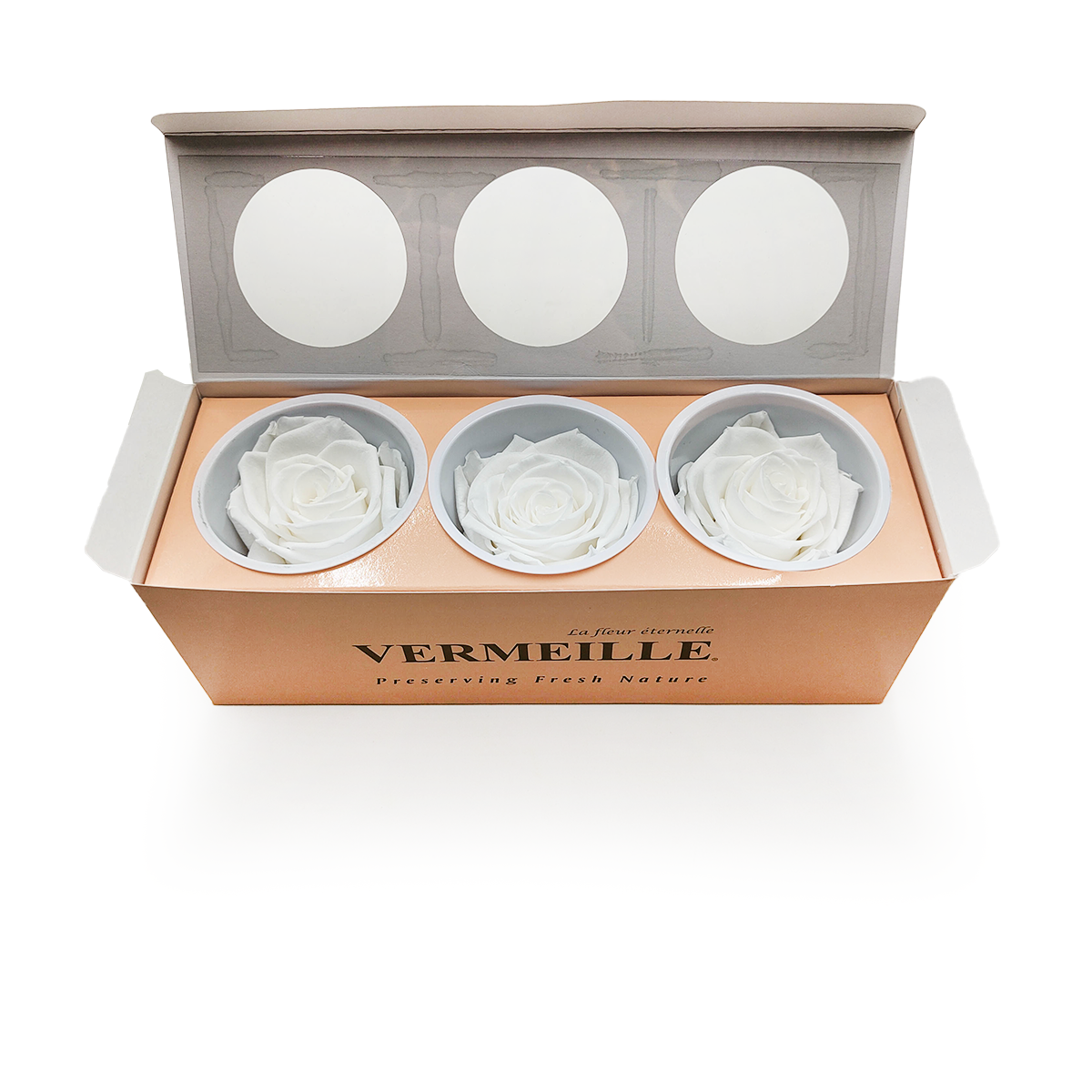 Preserved Rose - Princess White - XL - 3 pcs