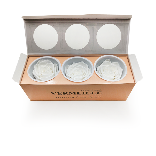 Róża Stabilizowana Princess White pud otw.png