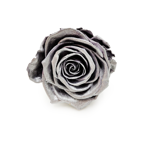 Róża Stabilizowana Silver okladka.png