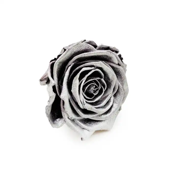 Róża Stabilizowana Silver skos.png