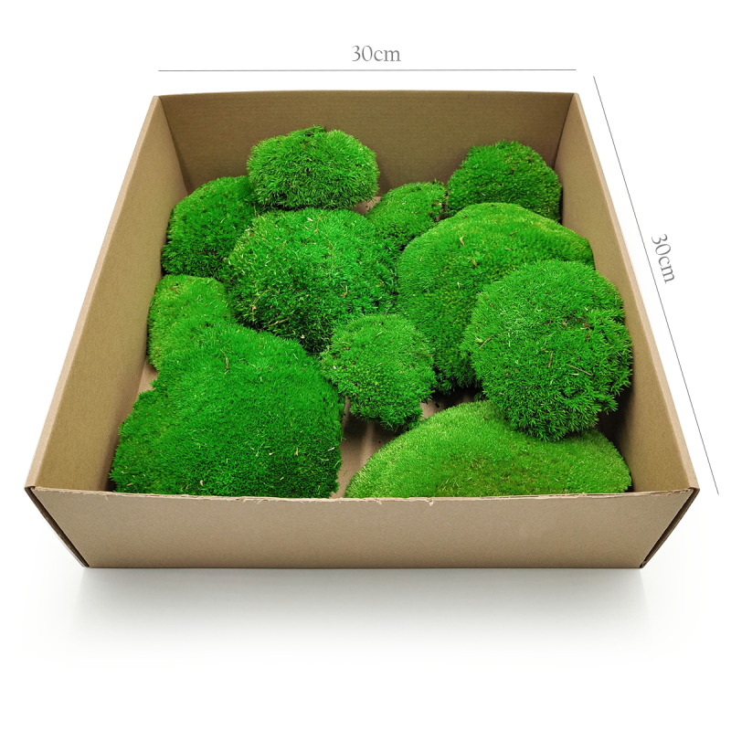 Poduszka Premium 200g SWE.png