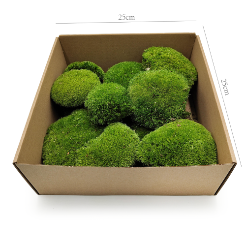 Poduszka Szwedzka Premium Ciemna Zieleń 100.png