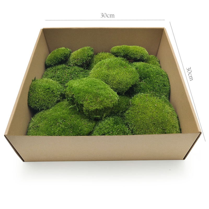 Poduszka Szwedzka Premium Ciemna Zieleń 200.png