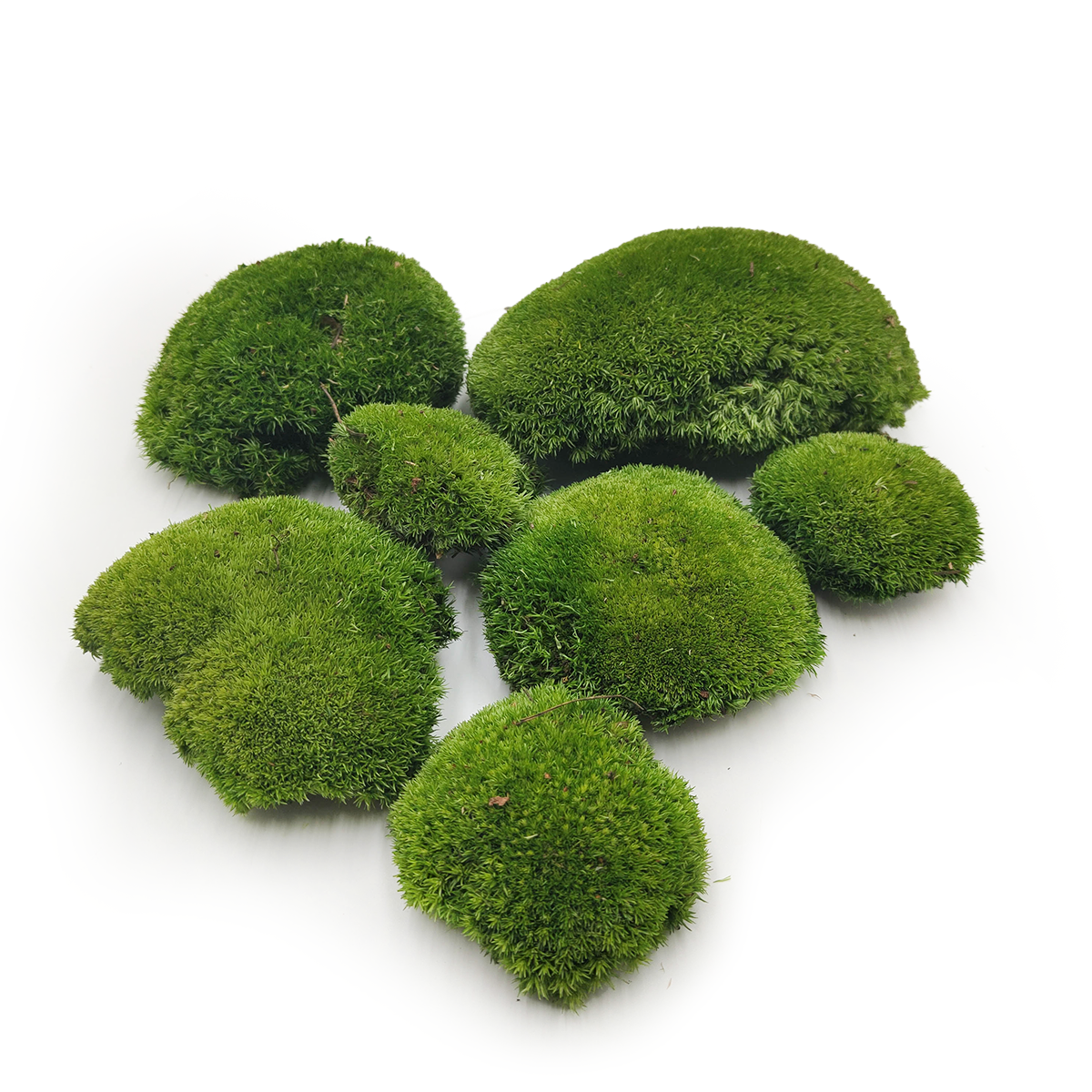 Ball Moss – Dark Green Natural – 0.062m² (40x15cm) – Sweden