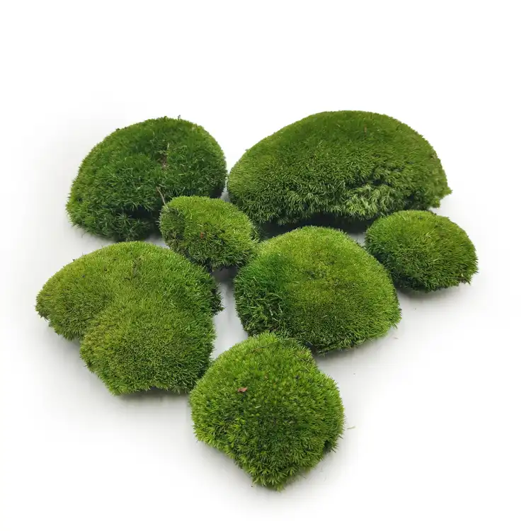Mech Poduszkowy Szwedzki Premium Ciemna Zieleń okladka.png