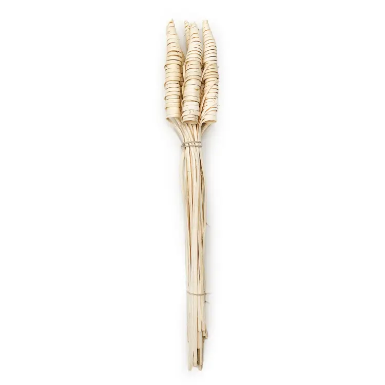 Cane Cone Suszone Paczka paczka.png