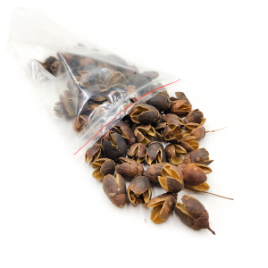 Natural Bakuli - Exotic Dried - 100g