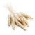 Cane Cone Suszone Paczka okl11.png