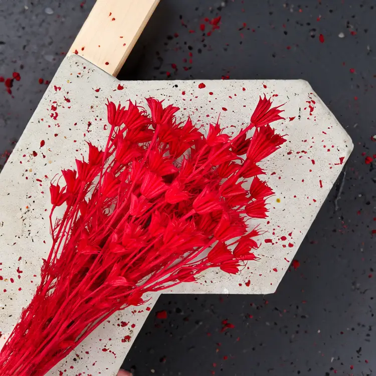 Suszona Nigella Orientalis czarnuszka orientalna czerwona okl1.png