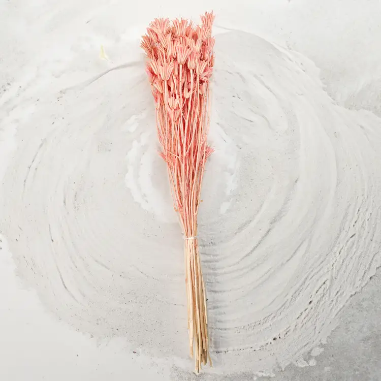 Nigella Orientalis czarnuszka orientalna różowa bukiet.png