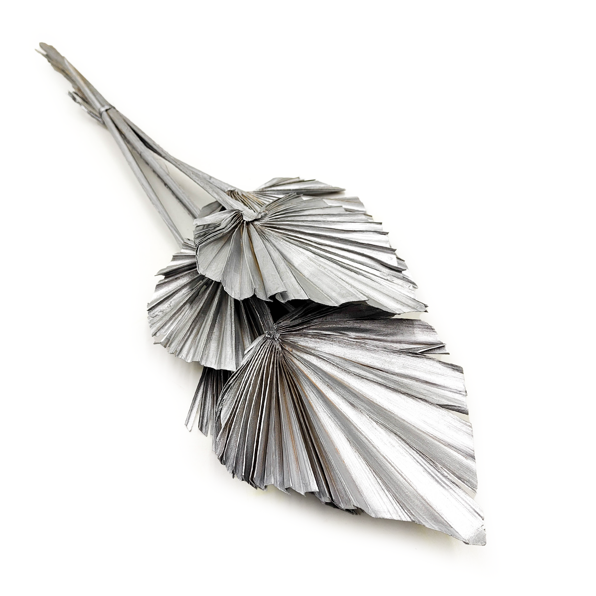Cut Palm, Palm Leaf Spear (Palm Spear) - Silver