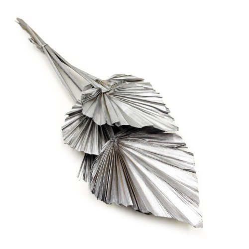 Palm Spear Silver Palma suszona srebrna okl.png