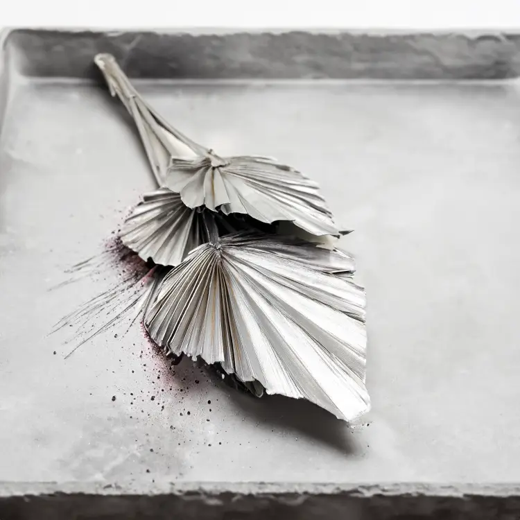 Palm Spear Silver Palma suszona srebrna2.png